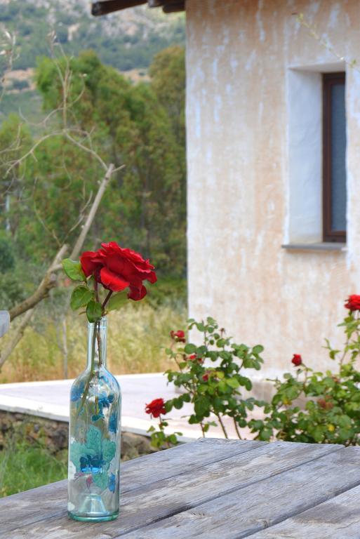 Agriturismo Rubinu Galtellì Habitación foto