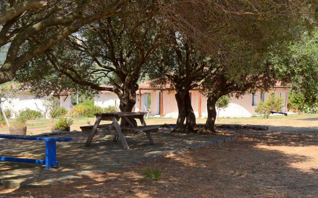 Agriturismo Rubinu Galtellì Exterior foto